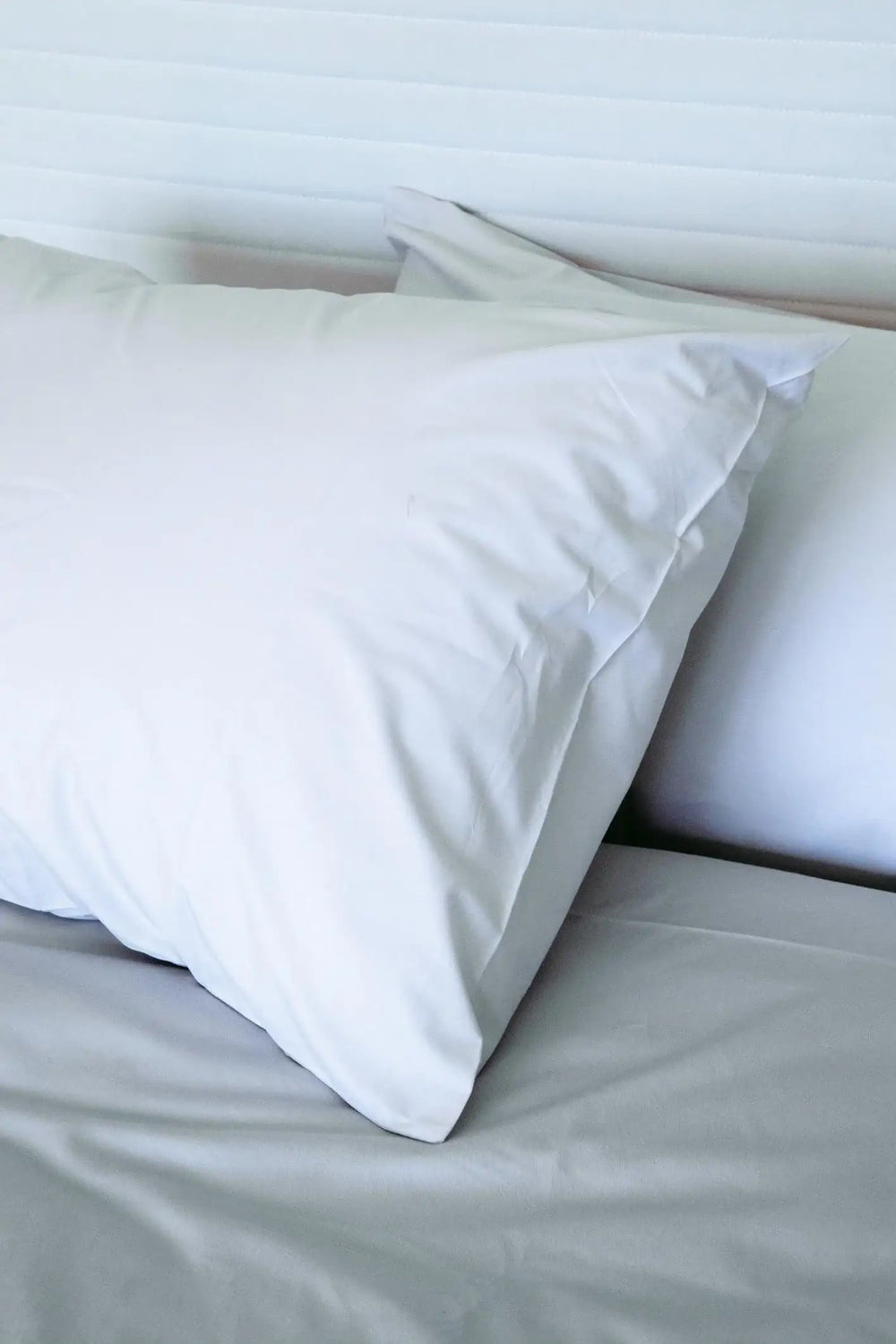 Premium Poly Down Pillow